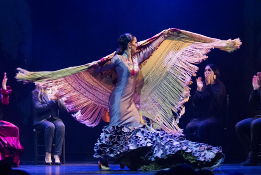 Imagen principal del artículo Artistas de flamenco que han pasado por Teatro Flamenco Madrid