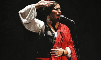 Imagen principal del artículo Disfrutando de Loreto de Diego en Teatro Flamenco Madrid