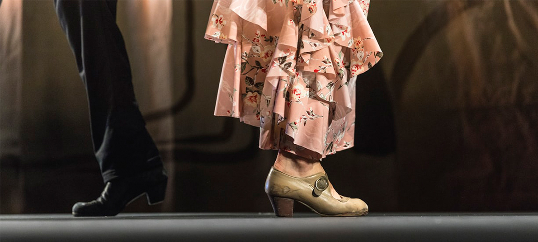 Imagen principal del artículo Fitness Flamenco Terapéutico