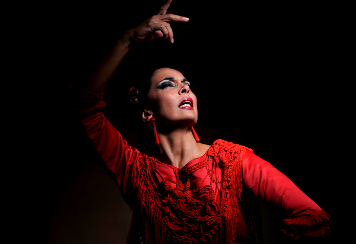 Imagen principal del artículo Tipos de soleá