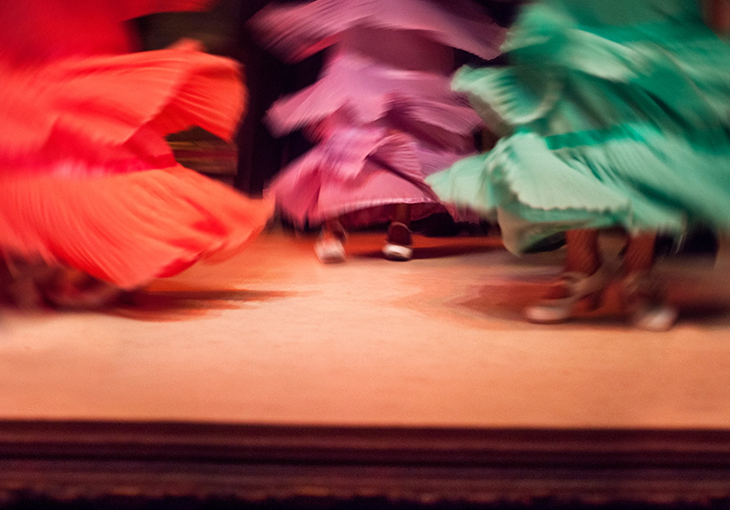 Imagen principal del artículo El flamenco hoy: un arte en constante evolución