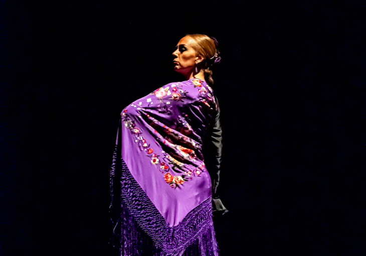 Imagen principal del artículo El silencio en el flamenco: pausa y emoción en el escenario