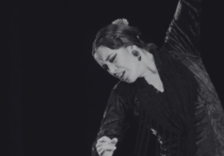 Imagen principal del artículo Isabel Rodríguez: fuerza y elegancia flamenca